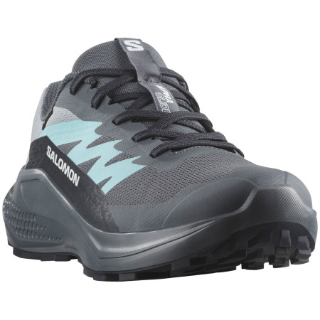 Buty damskie Salomon Alphaglide Gore-Tex