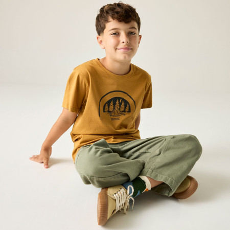 T-shirt dziecięcy Regatta Bosley Wood Brown