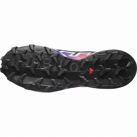 Buty męskie Salomon Speedcross 6 Gore-Tex Equipe