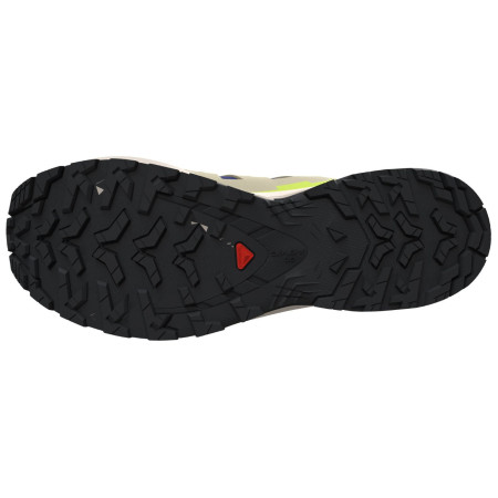 Buty męskie Salomon Xa Pro 3D V9