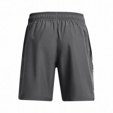 Męskie szorty Under Armour Woven Wdmk Shorts