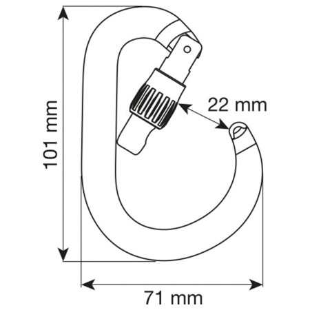 Karabinek Camp Nimbus Lock