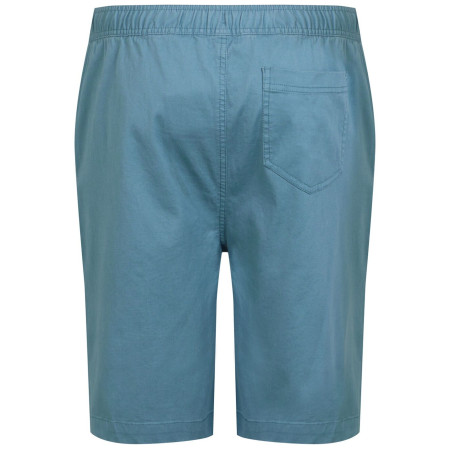 Męskie szorty Regatta Aldan Short