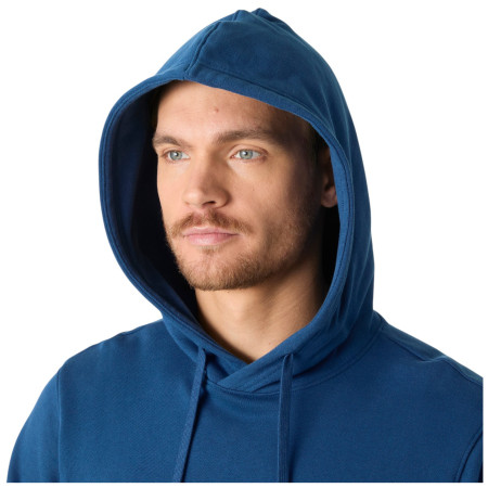 Bluza męska Helly Hansen HH Logo Hoodie
