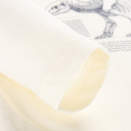 T-shirt dziecięcy Alpine Pro Ecco 2