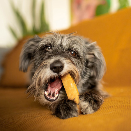 Zabawka dla psa Explorer Dog Himalayan Chew