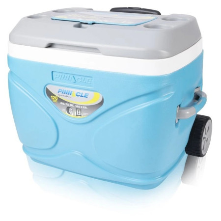 Lodówka turystyczna Pinnacle Prudence 66L