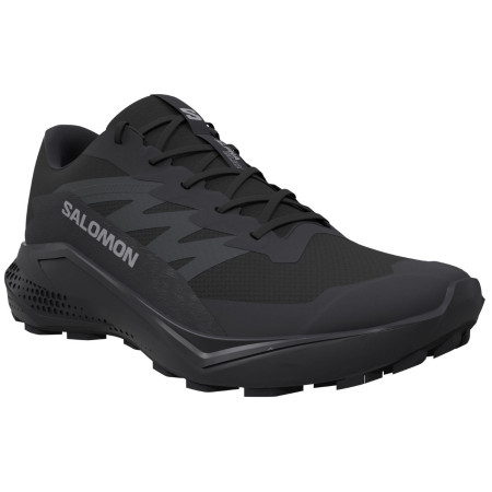 Buty damskie Salomon Alphaglide Gore-Tex