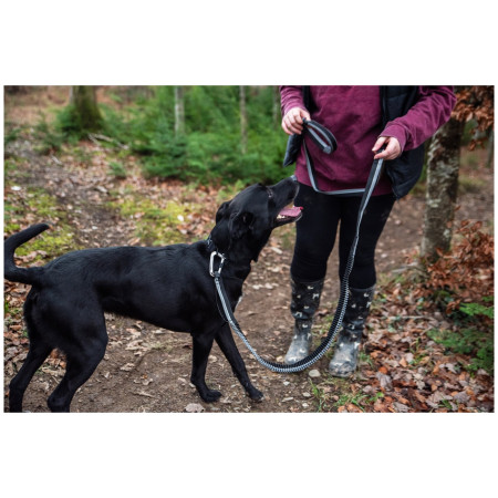 Smycz z amortyzatorem Mountain Paws Shock Absorber Dog Lead