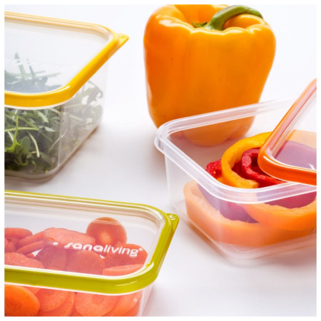 Pudełko na jedzenie Omada Sanaliving Box Set 3x 24x16,5x5cm/1L