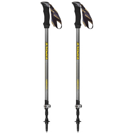 Kije trekkingowe Vipole Climber As Ql szary/czarny