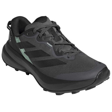 Damskie buty do biegania Adidas Terrex Tracefinder Plus Gtx