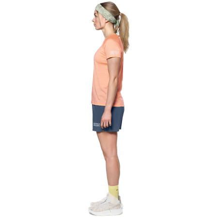 Koszulka damska Devold Endurance Merino 130 Tee Wmn