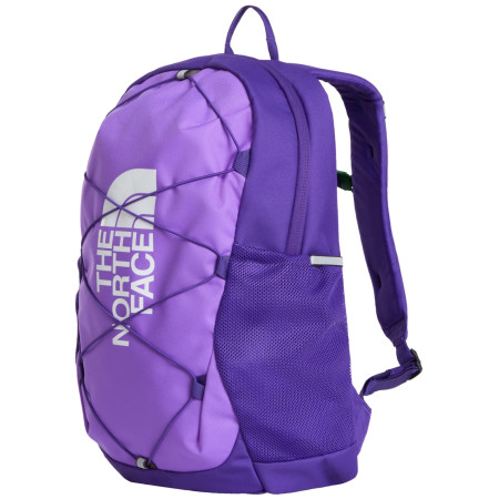 Plecak szkolny kl.4-8 The North Face Y Court Jester