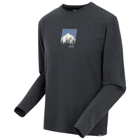 Koszulka męska Regatta Maylow