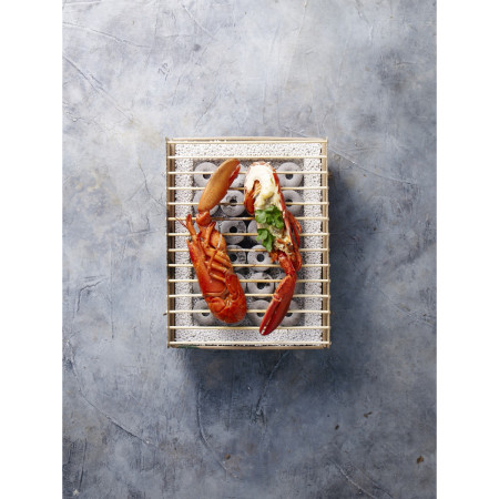 Grill na węgiel drzewny CasusGrill Grill ekologiczny