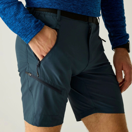 Spodenki męskie Regatta Xert Stretch Shorts