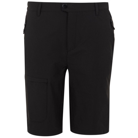 Męskie szorty Regatta Highton Shorts Long II