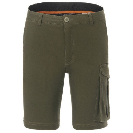 Spodenki męskie Regatta Bendrick Shorts zielony Dark Khaki