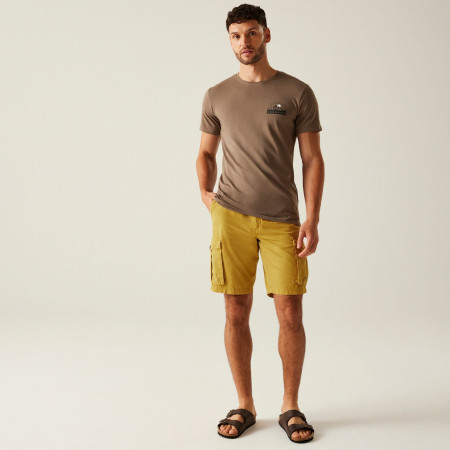 Spodenki męskie Regatta Shorebay Shorts II