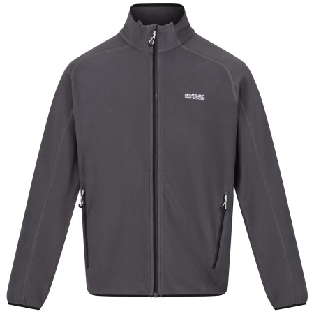 Męska bluza Regatta Hadfield szary Seal Grey