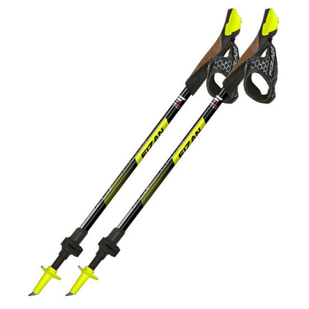 Kijek Nordic walking Fizan R-Evolution