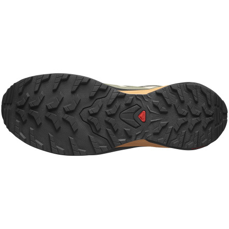 Buty do biegania dla mężczyzn Salomon X-Adventure Gore-Tex