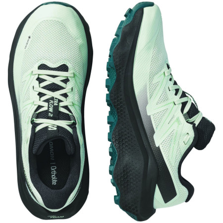 Damskie buty do biegania Salomon Ultra Flow 2 Gore-Tex