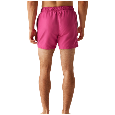 Męski strój kąpielowy Regatta Mawson III Swim Shorts