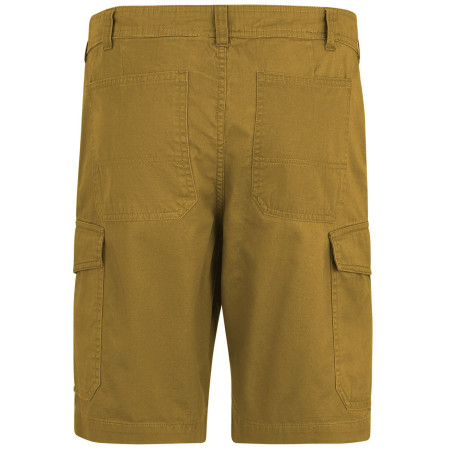 Spodenki męskie Regatta Ruwan Shorts