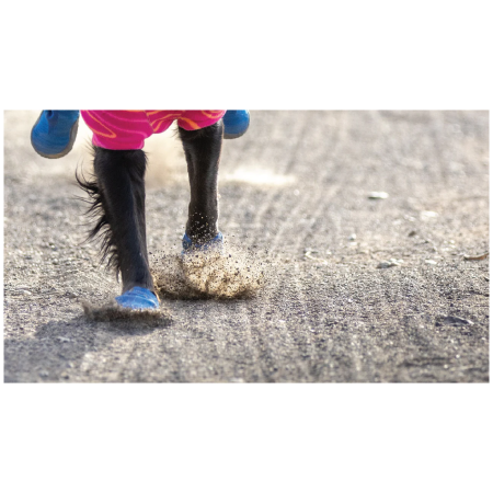 Buty dla psa Ruffwear Hi & Light™ Trail Shoes