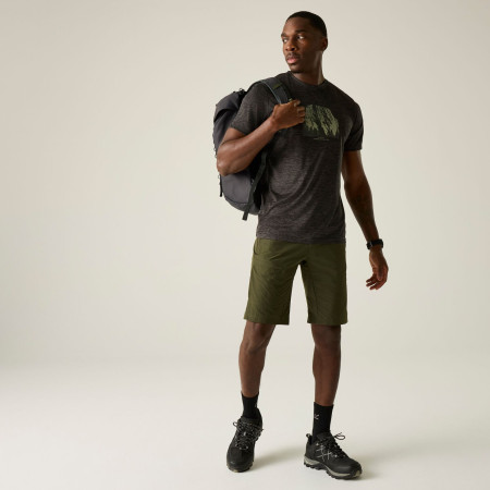 Koszulka męska Regatta Fingal