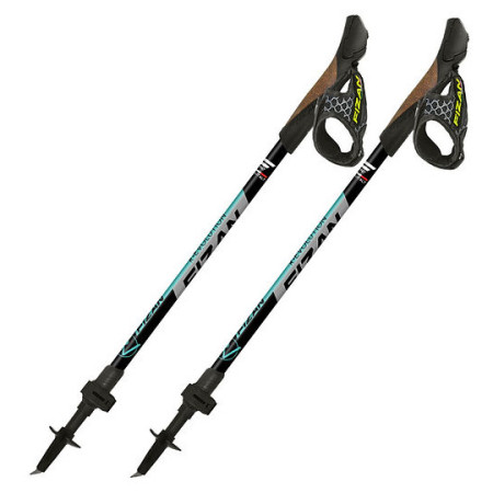Kijek Nordic walking Fizan R-Evolution