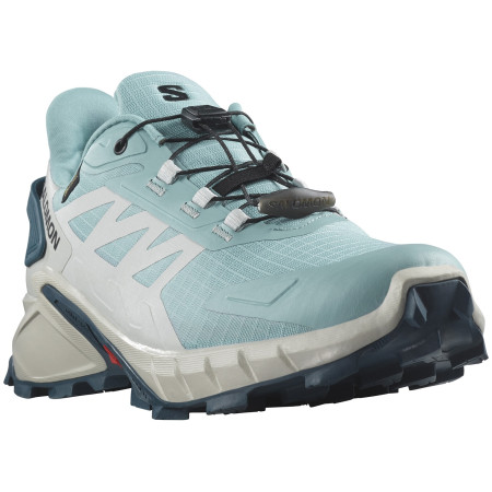 Damskie buty do biegania Salomon Supercross 4 Gore-Tex szary/niebieski Stone Blue / Lunar Rock / Stargazer