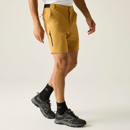 Spodenki męskie Regatta Anti-Insect Travel Light Shorts