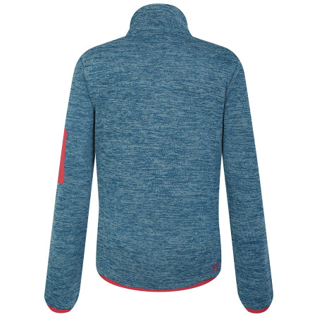 Bluza damska Dare 2b W Torrek Fleece