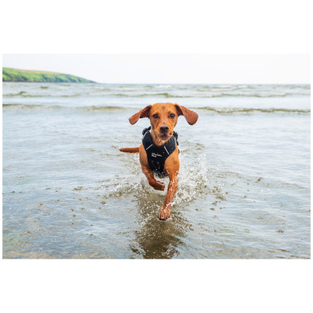 Szelki dla psa Mountain Paws Dog Harness