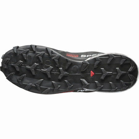 Buty męskie Salomon Speedcross 6 Gtx 20 Years