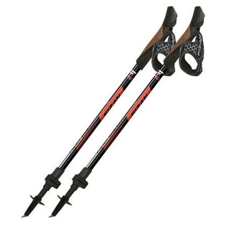 Kijek Nordic walking Fizan R-Evolution Pro
