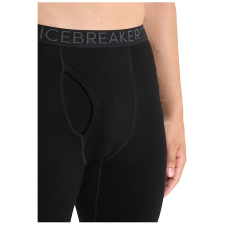 Męskie kalesony Icebreaker M 260 Tech Leggings wFly