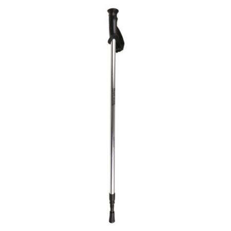 Kijek trekkingowy Regatta AS Walk Pole II srebrny Silver