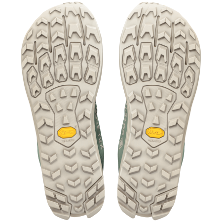 Buty do biegania dla mężczyzn Altra Lone Peak 9+ GTX