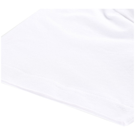 Koszulka męska Alpine Pro Morol