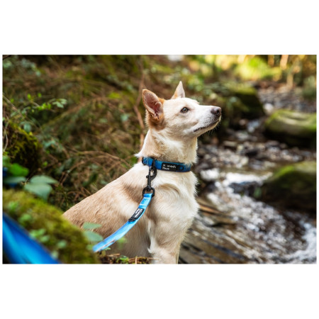 Obroża dla psa Mountain Paws Waterproof Dog Collar