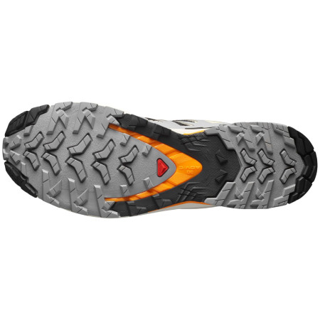 Buty męskie Salomon Xa Pro 3D V9