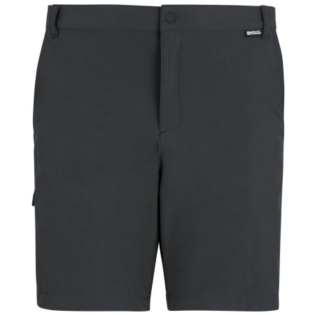 Spodenki męskie Regatta Anti-Insect Travel Light Shorts szary Ash