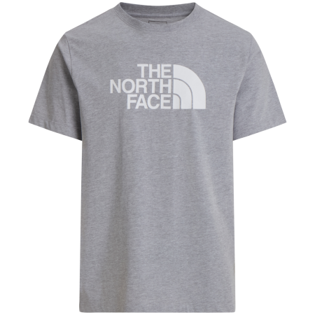 Koszulka męska The North Face Evolution Half Dome Regular Short Slee