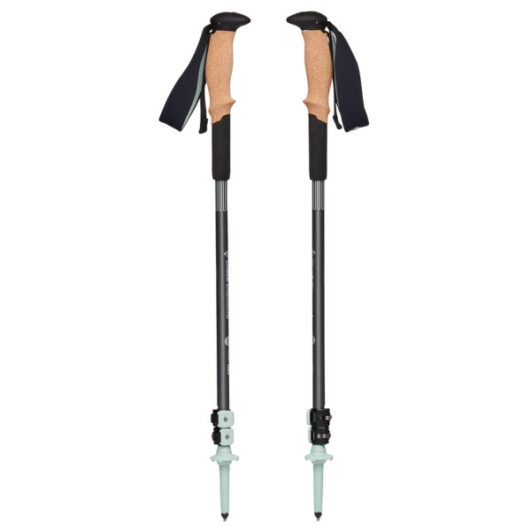 Kije trekkingowe Black Diamond Pursuit Shock Trekking Poles