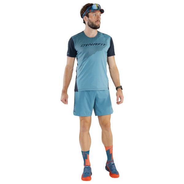 Męska koszulka Dynafit Alpine 2 S/S Tee M