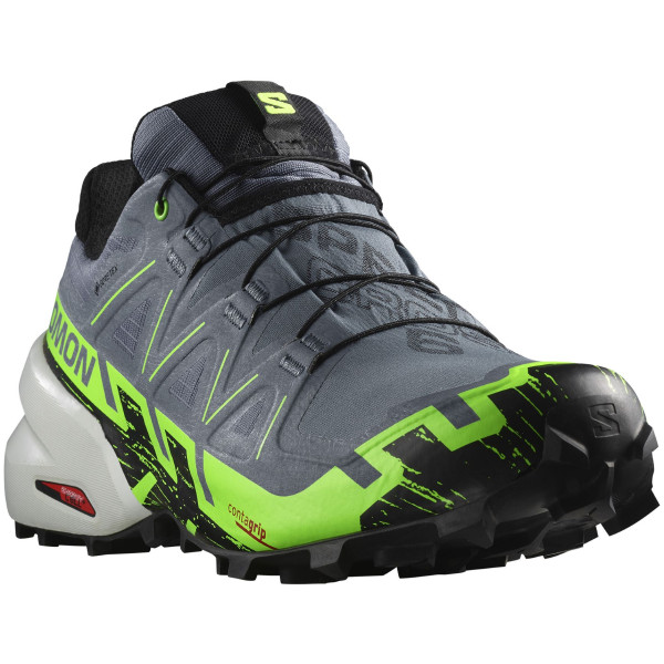 Buty do biegania dla mężczyzn Salomon Speedcross 6 Gore-Tex szary Flint Stone / Green Gecko / Black